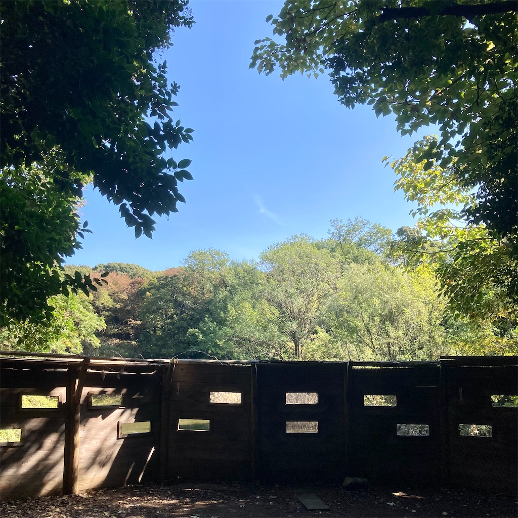 f:id:koshikakeol:20211106122107j:image f:id:koshikakeol:20211106122107j:image