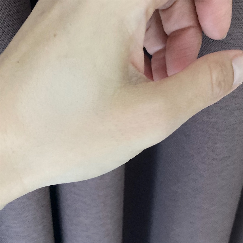 f:id:koshikakeol:20211107083418j:image