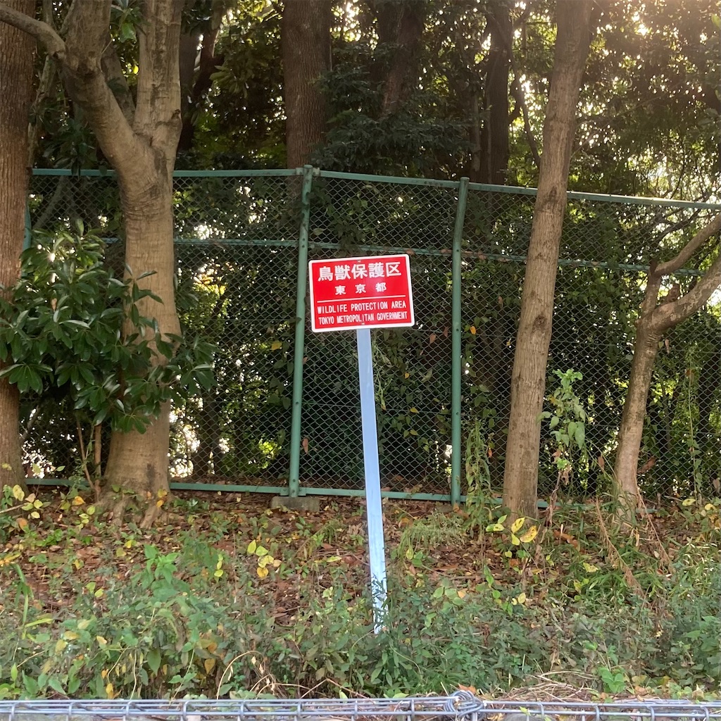 f:id:koshikakeol:20211114120150j:image f:id:koshikakeol:20211114120150j:image