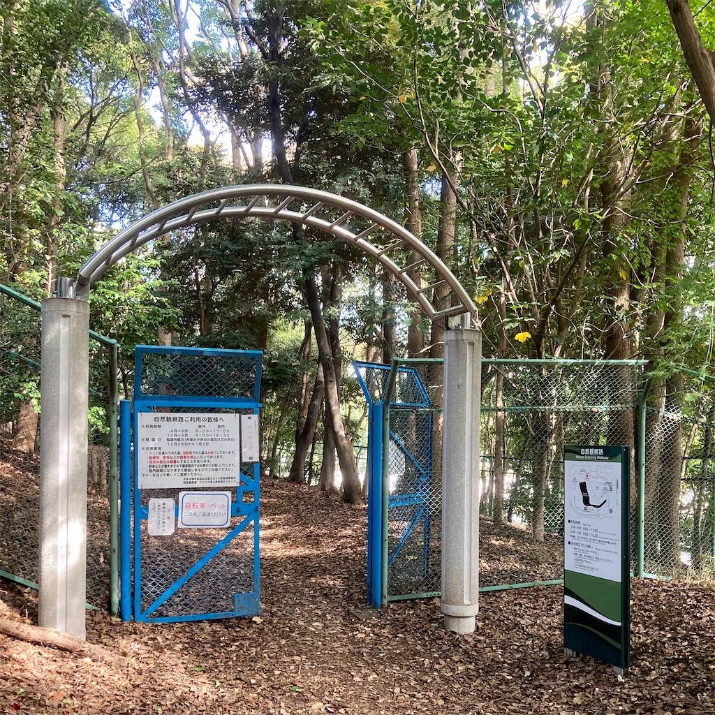 f:id:koshikakeol:20211114120214j:image f:id:koshikakeol:20211114120214j:image