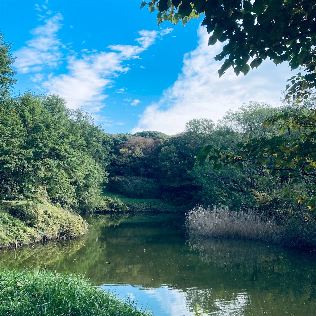 f:id:koshikakeol:20211114120250j:image f:id:koshikakeol:20211114120250j:image