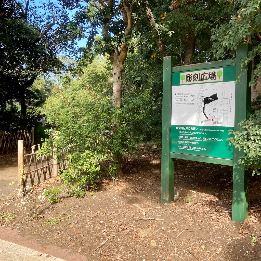 f:id:koshikakeol:20211114120326j:image f:id:koshikakeol:20211114120326j:image