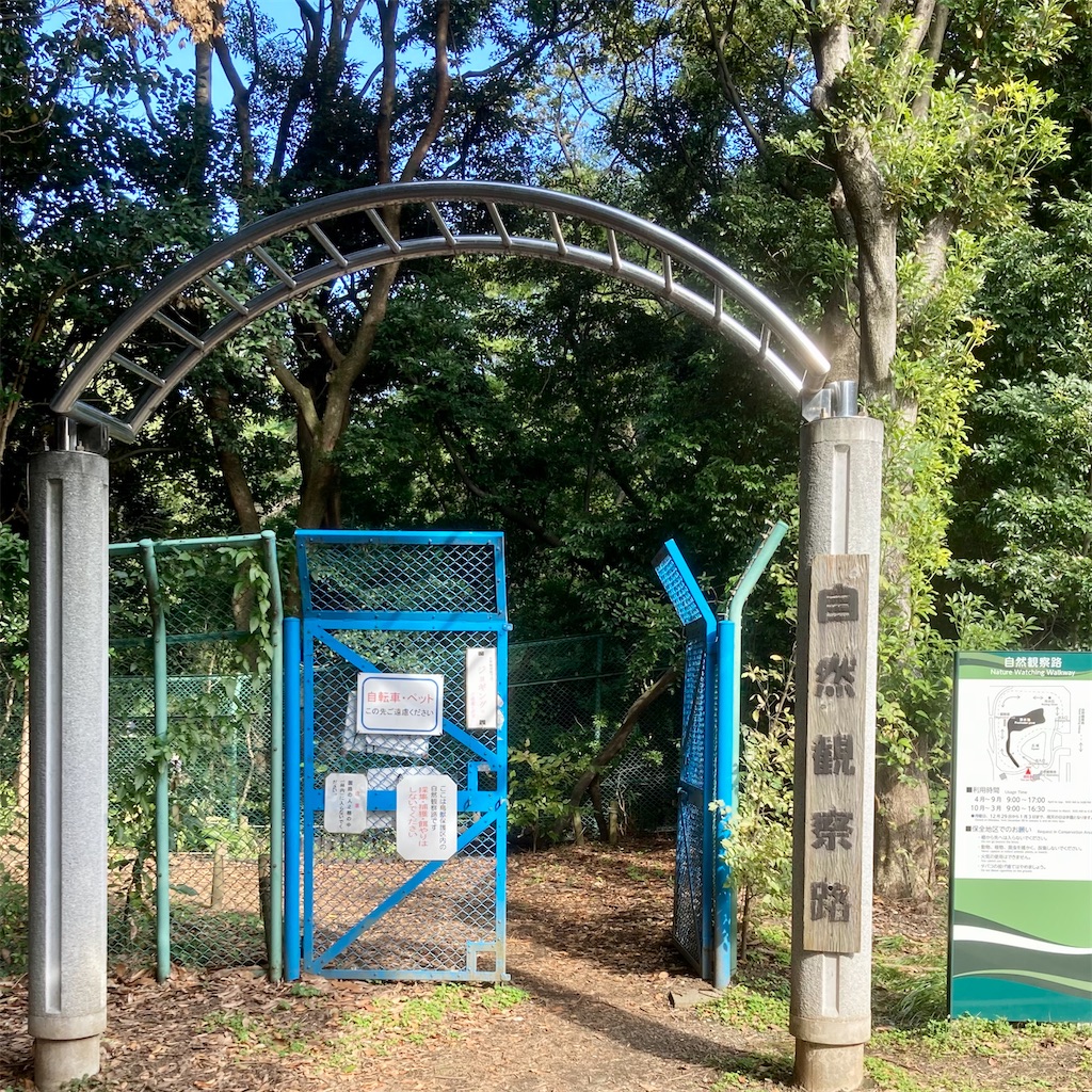 f:id:koshikakeol:20211114120405j:image f:id:koshikakeol:20211114120405j:image