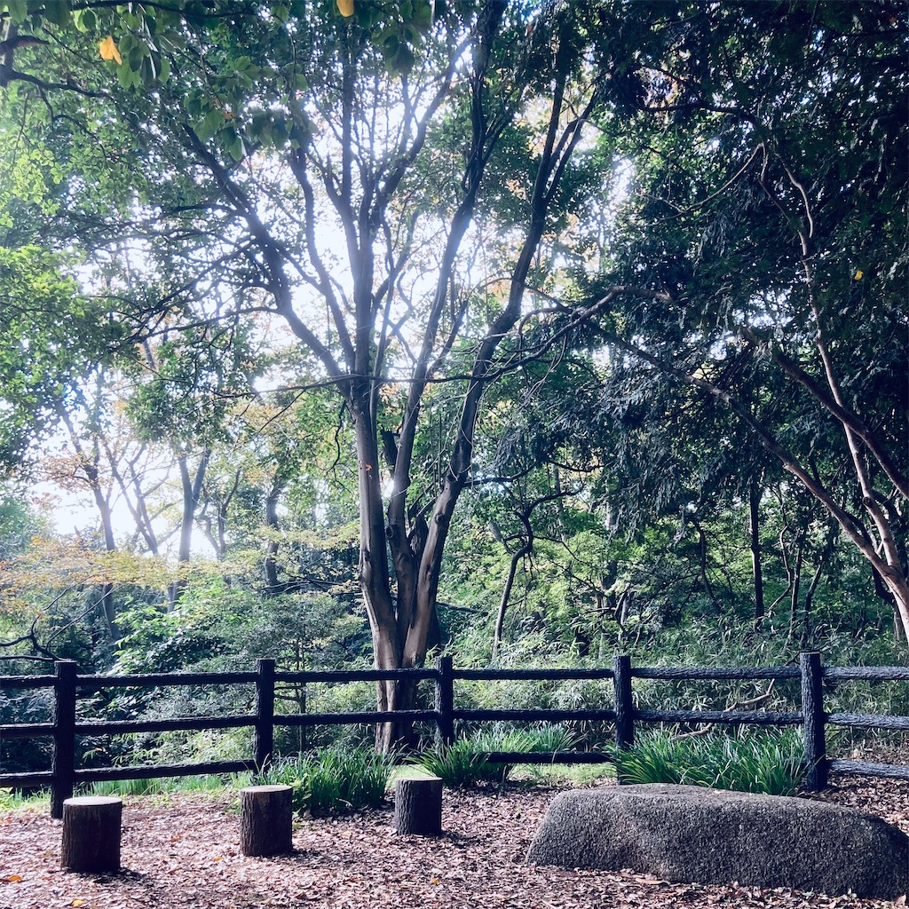 f:id:koshikakeol:20211114122553j:image f:id:koshikakeol:20211114122553j:image