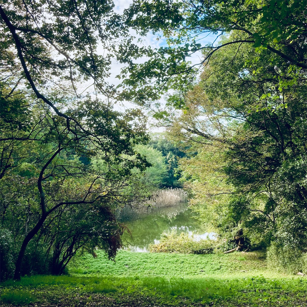 f:id:koshikakeol:20211114122601j:image f:id:koshikakeol:20211114122601j:image