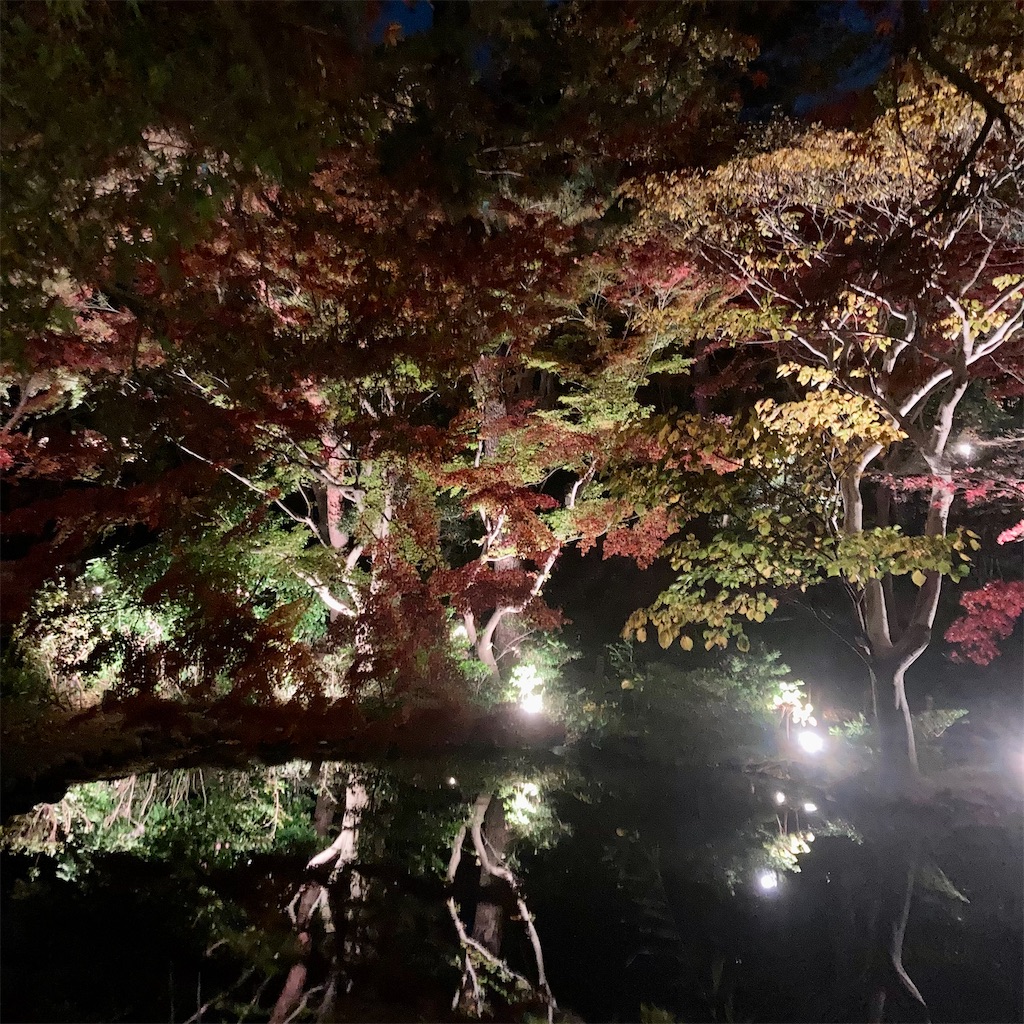 f:id:koshikakeol:20211203180259j:image f:id:koshikakeol:20211203180259j:image