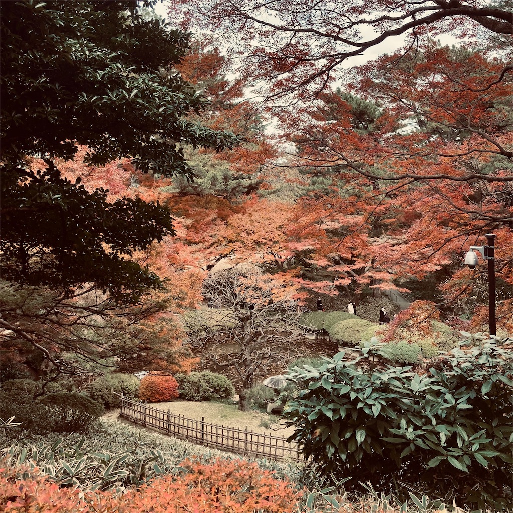 f:id:koshikakeol:20211205174244j:plain