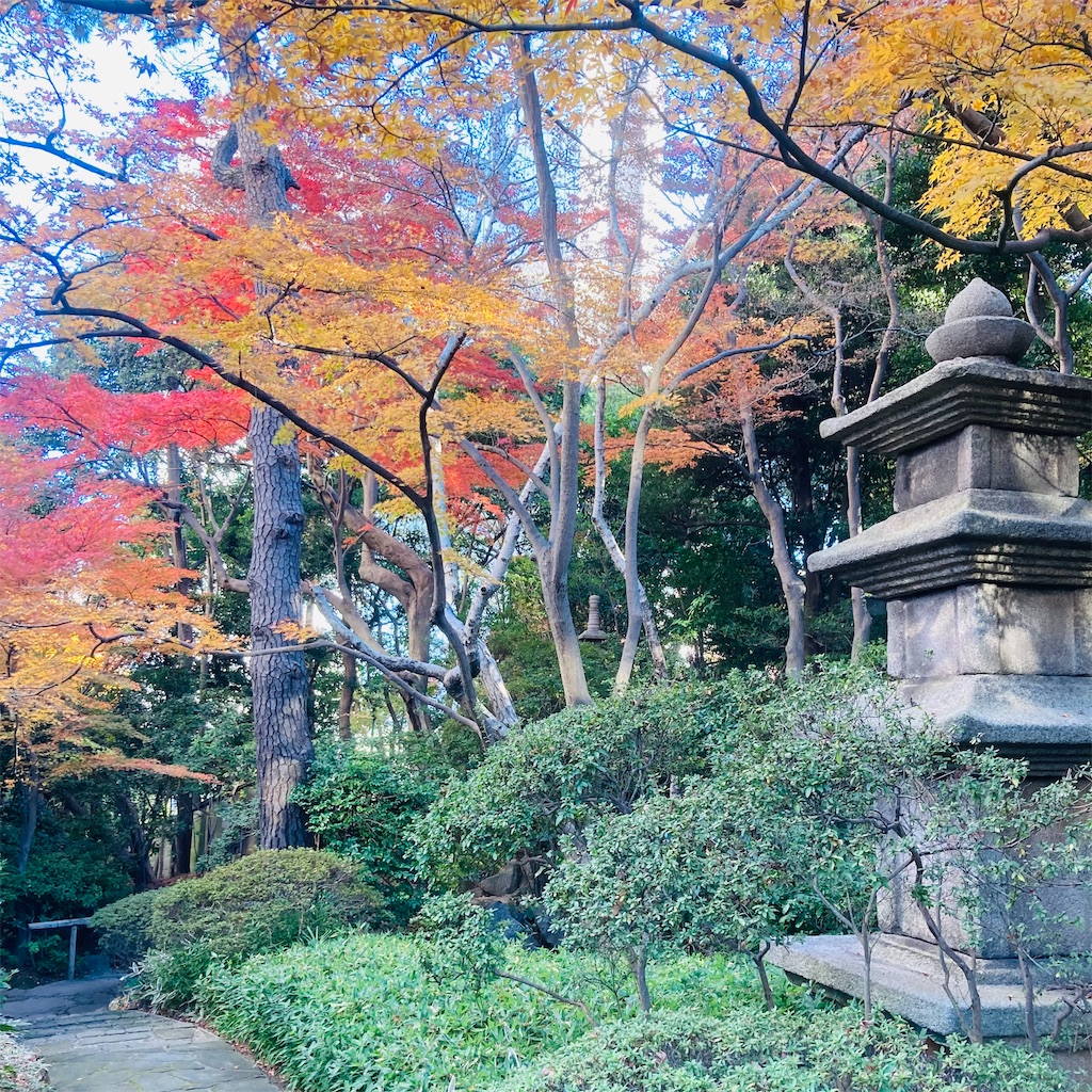 f:id:koshikakeol:20211212152024j:image