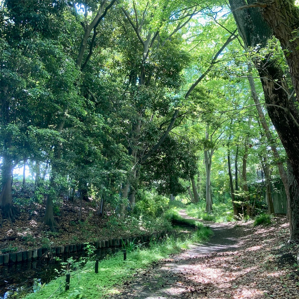 f:id:koshikakeol:20220503122003j:image f:id:koshikakeol:20220503122003j:image