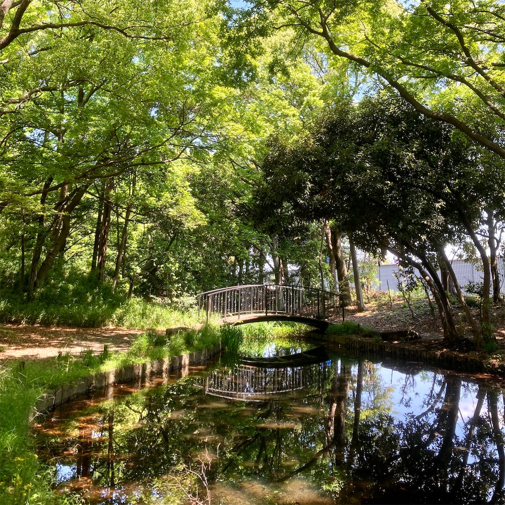 f:id:koshikakeol:20220503122010j:image f:id:koshikakeol:20220503122010j:image