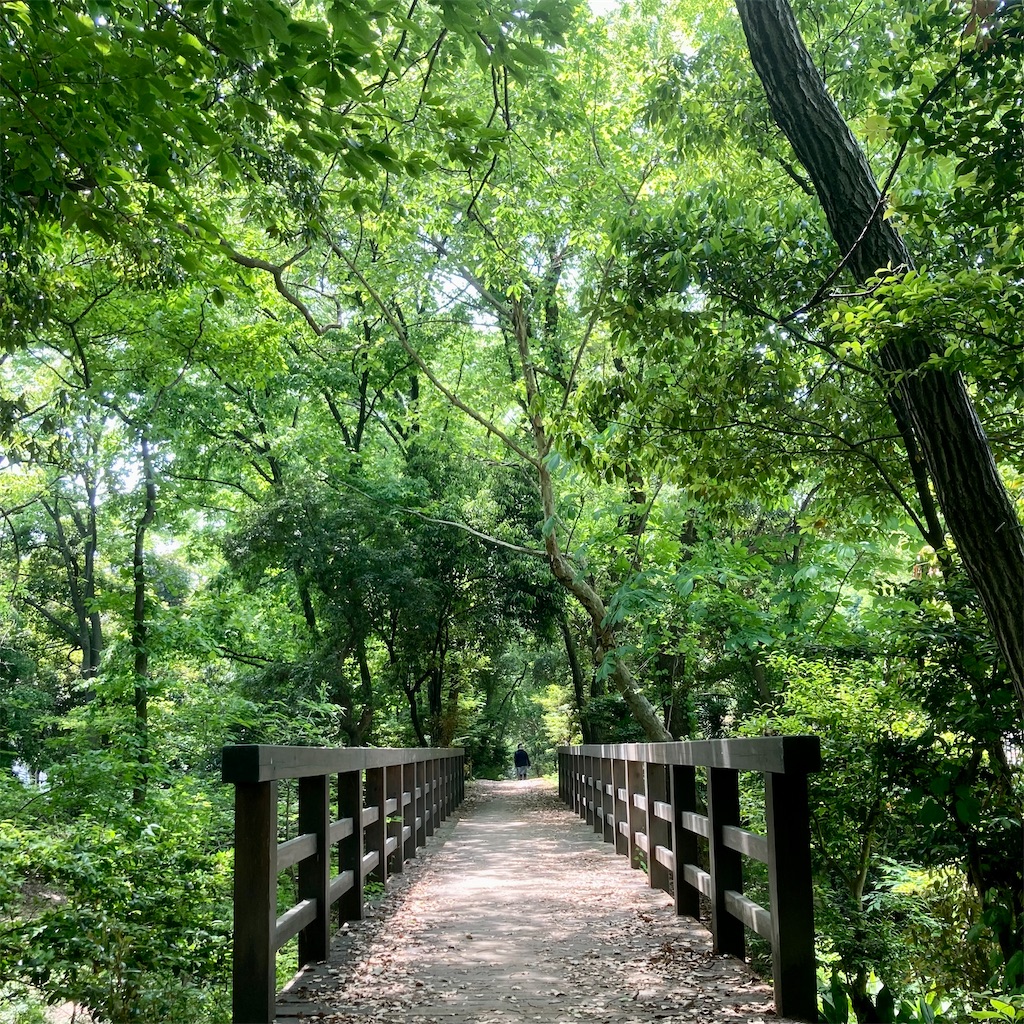 f:id:koshikakeol:20220505124327j:image f:id:koshikakeol:20220505124327j:image