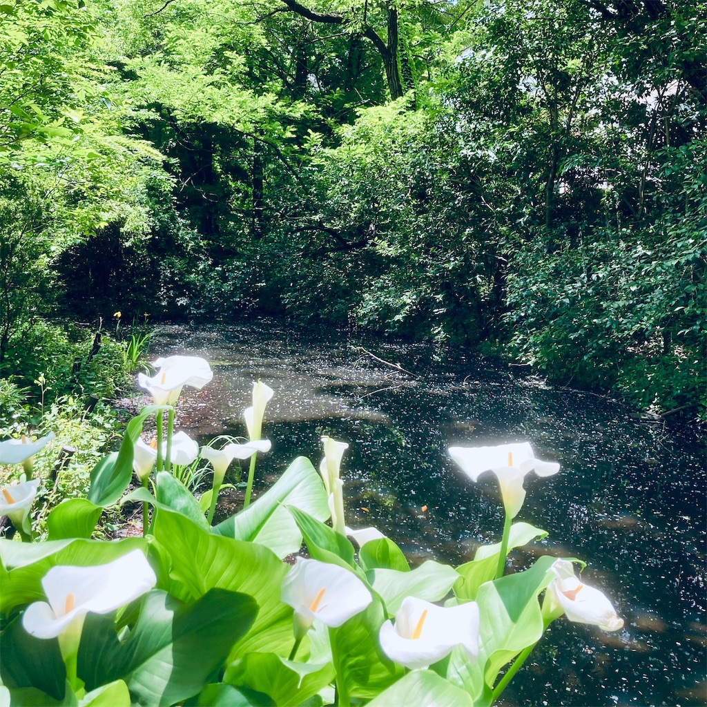 f:id:koshikakeol:20220511132043j:image f:id:koshikakeol:20220511132043j:image