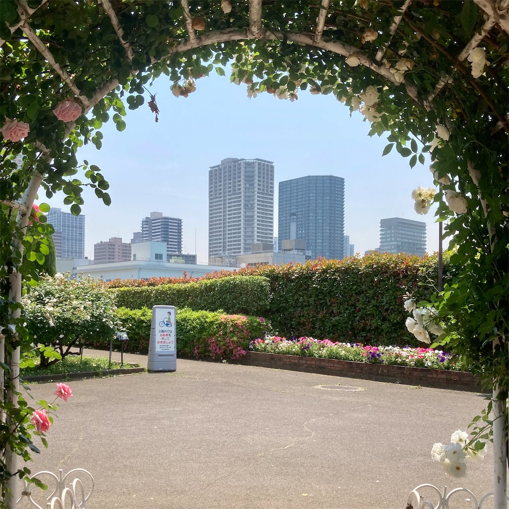 f:id:koshikakeol:20220519123923j:image