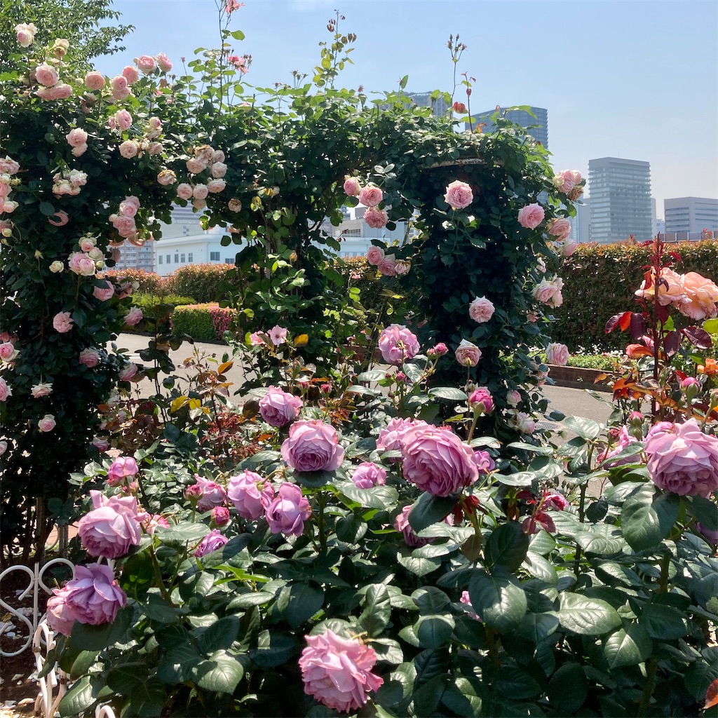 f:id:koshikakeol:20220519123941j:image