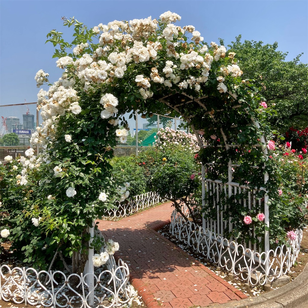 f:id:koshikakeol:20220519123946j:image