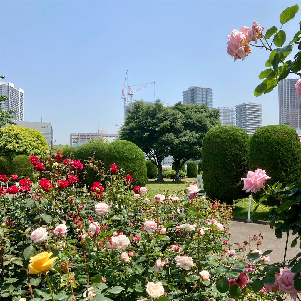 f:id:koshikakeol:20220519124653j:image