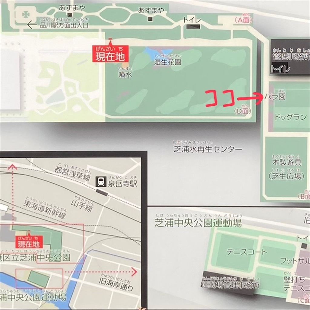 f:id:koshikakeol:20220519124857j:image