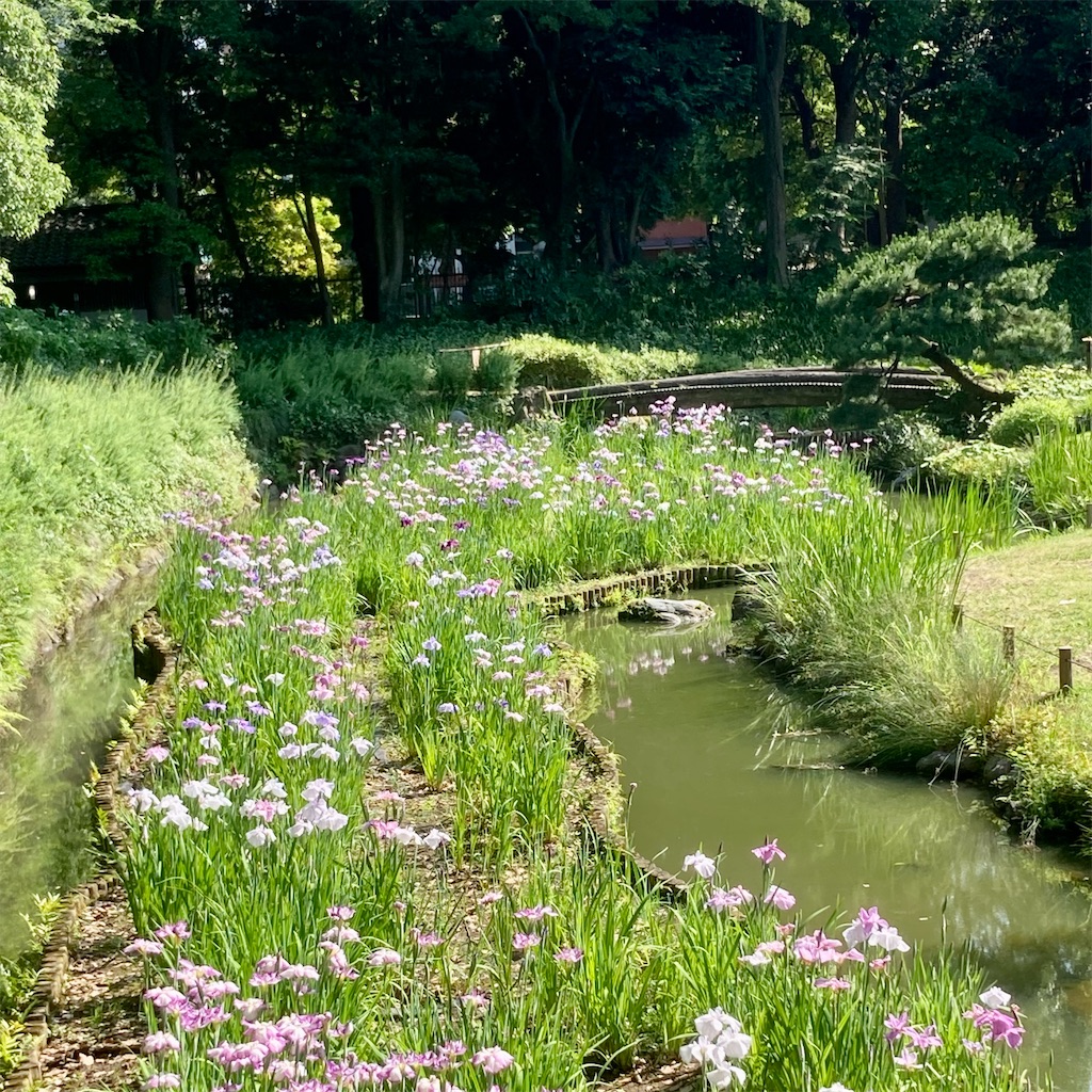 f:id:koshikakeol:20220604184226j:image