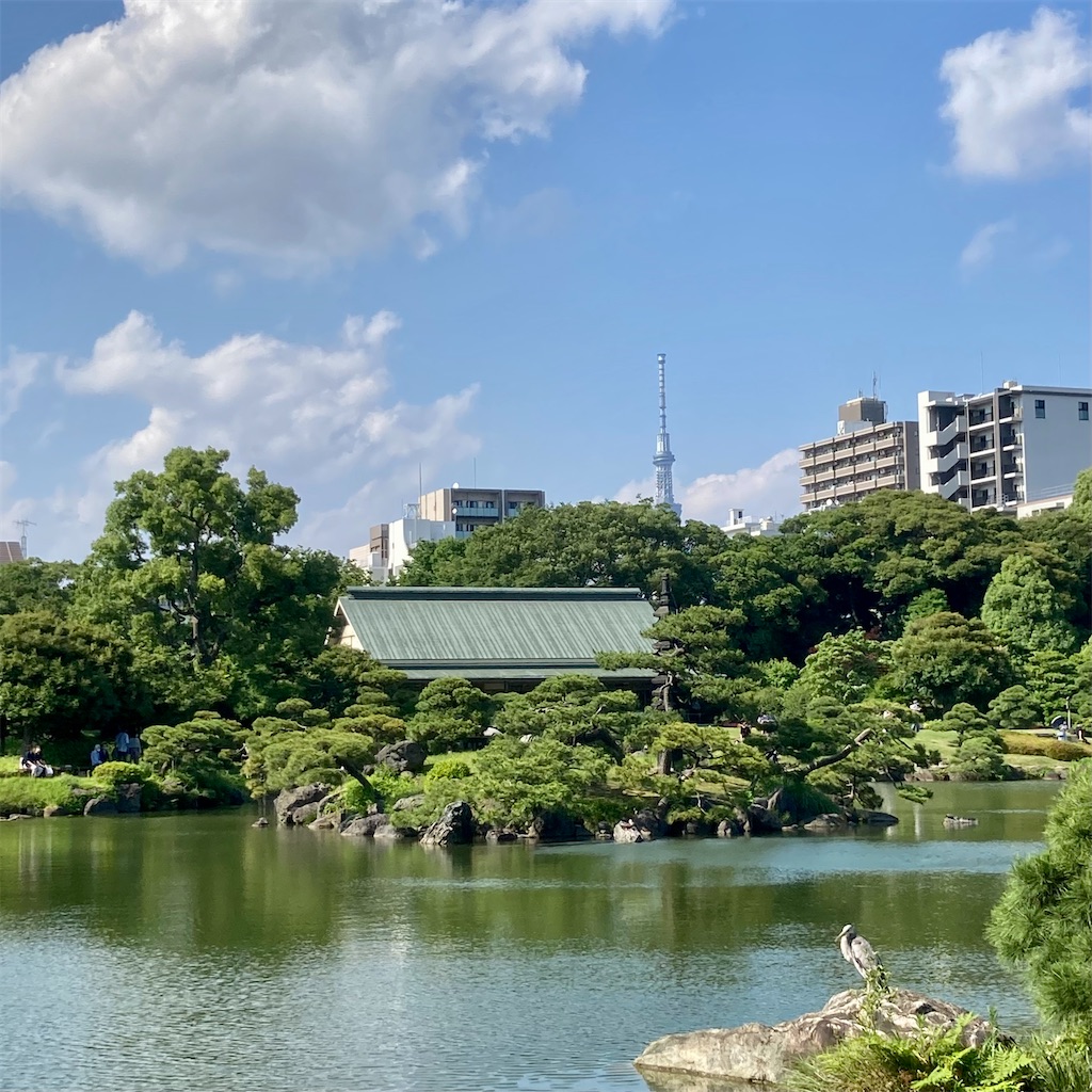 f:id:koshikakeol:20220604184309j:image