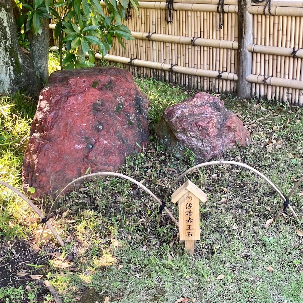 f:id:koshikakeol:20220604184329j:image