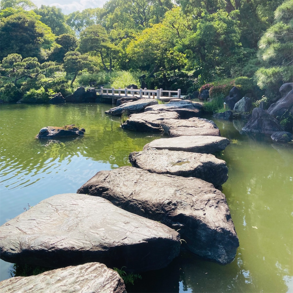 f:id:koshikakeol:20220604184618j:image