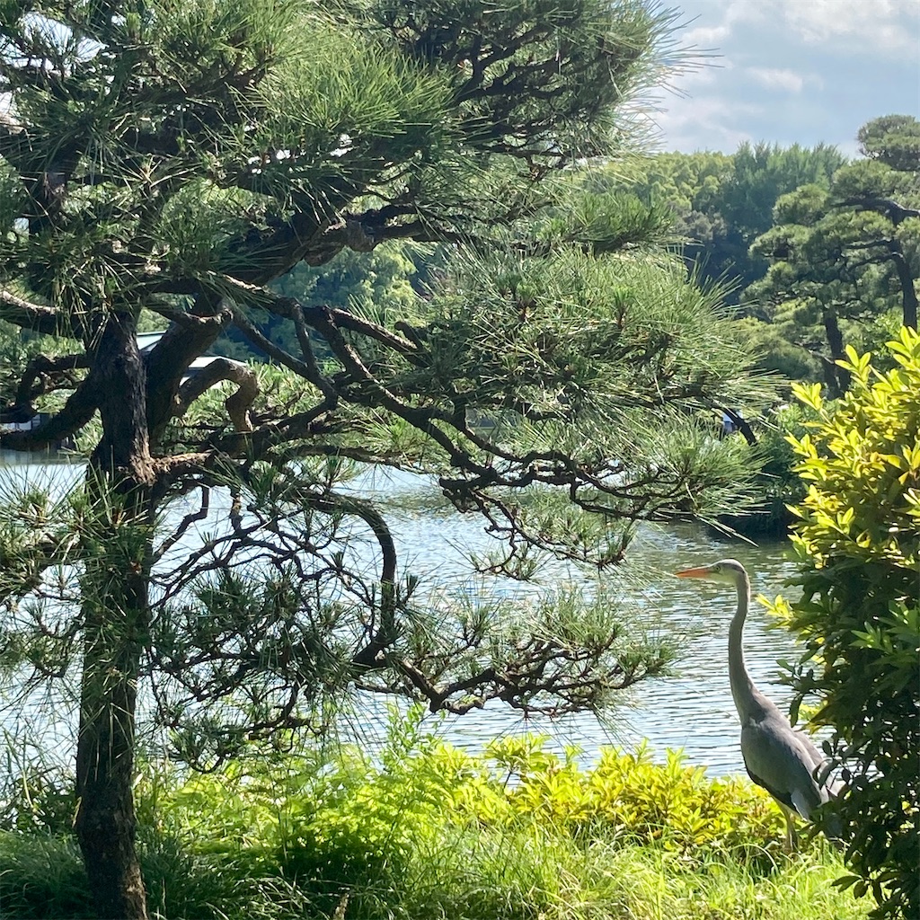 f:id:koshikakeol:20220604184950j:image