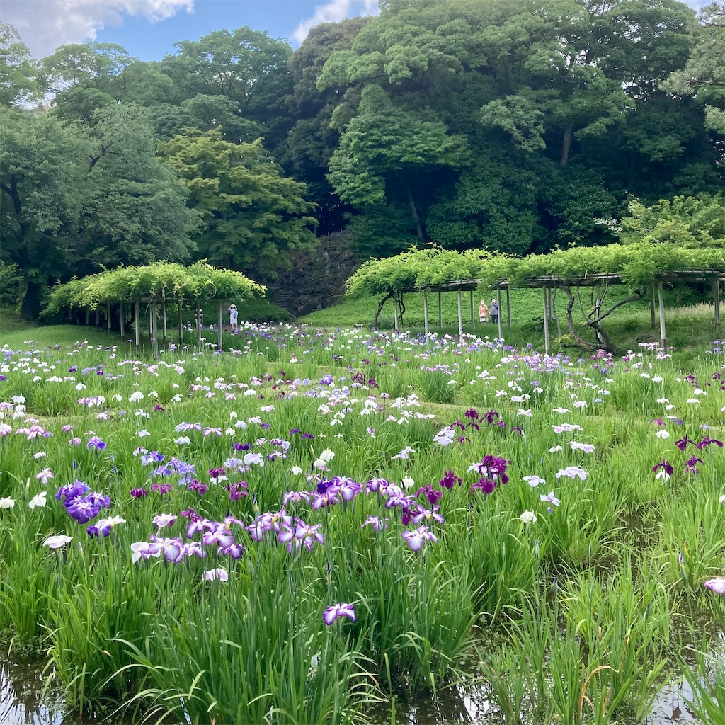 f:id:koshikakeol:20220609173343j:image