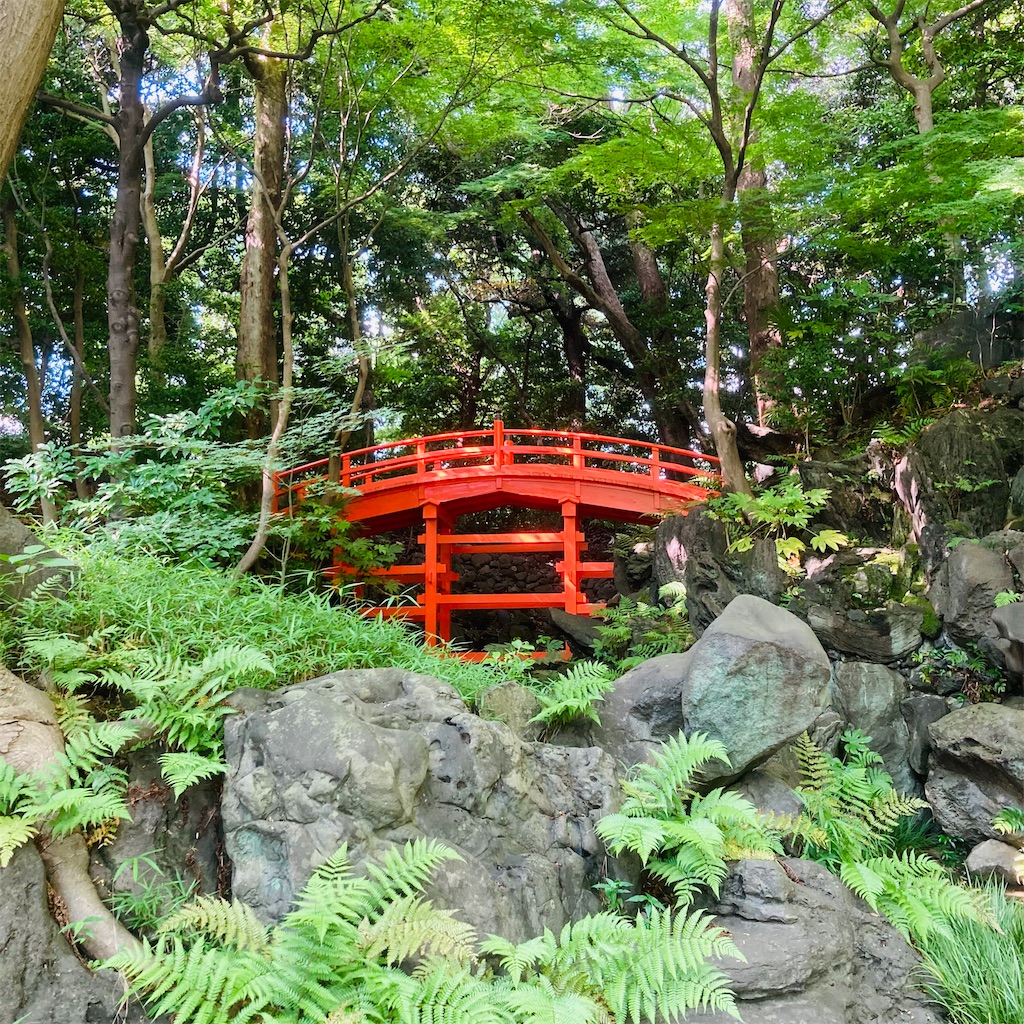 f:id:koshikakeol:20220609173546j:image