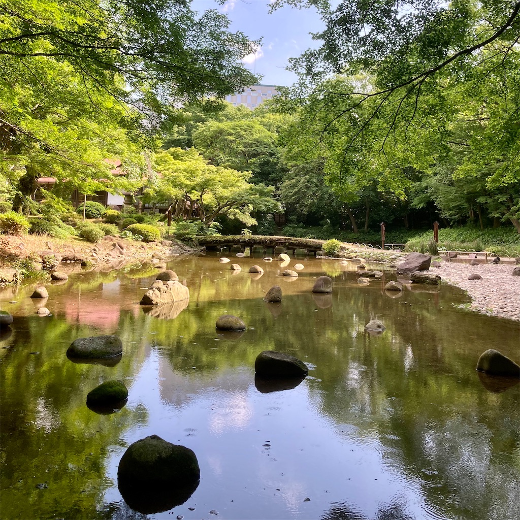 f:id:koshikakeol:20220609173549j:image