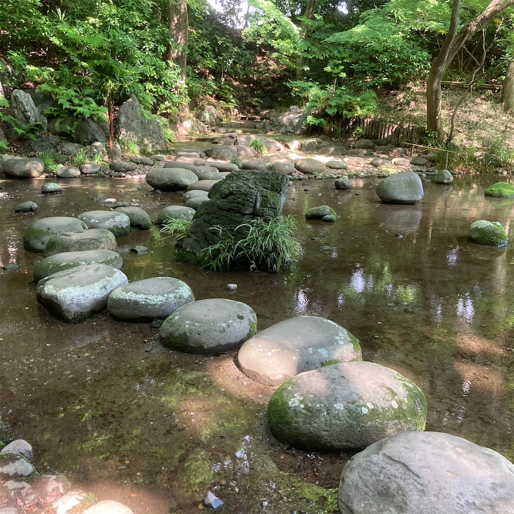 f:id:koshikakeol:20220609173555j:image