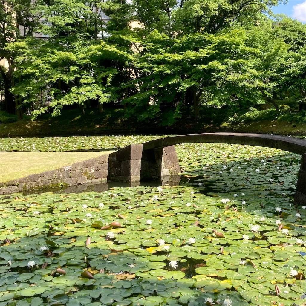 f:id:koshikakeol:20220609173728j:image