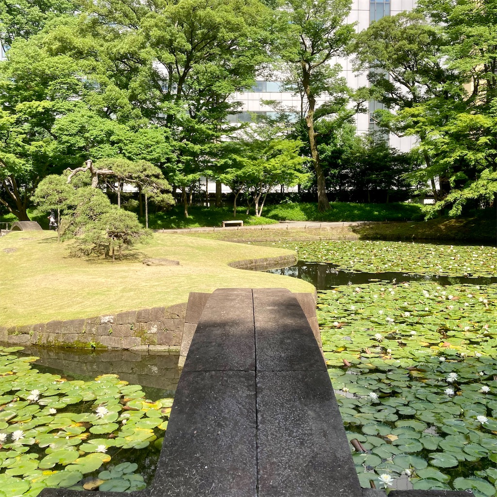 f:id:koshikakeol:20220609173734j:image