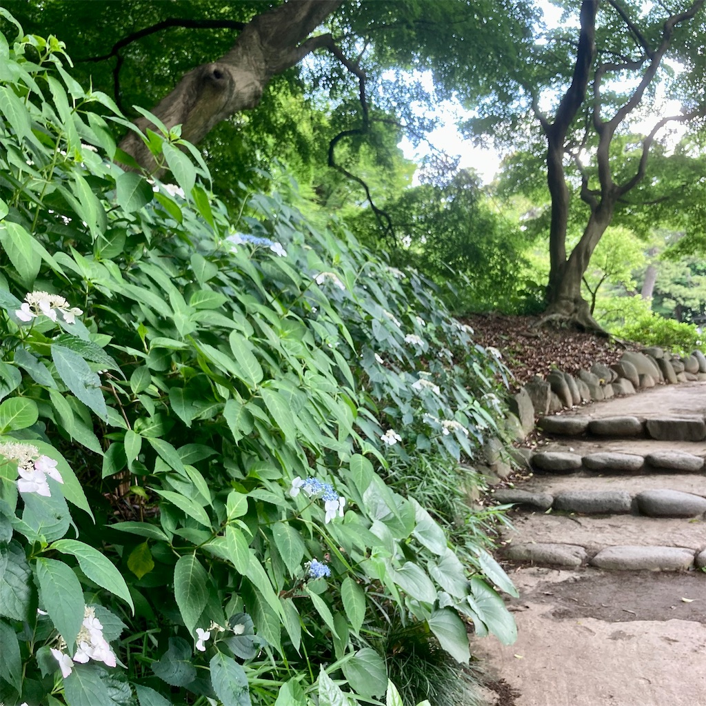 f:id:koshikakeol:20220609173821j:image