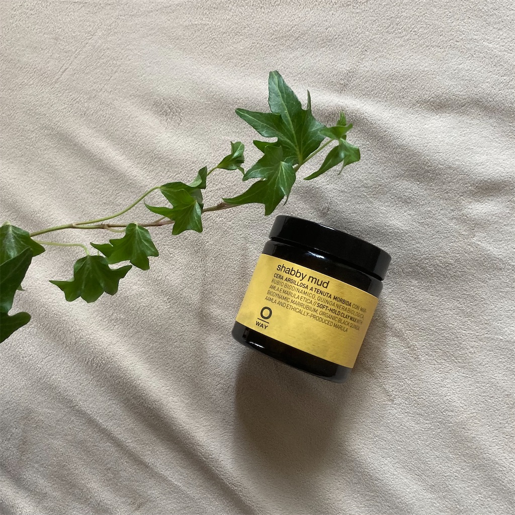 f:id:koshikakeol:20220612103423j:image