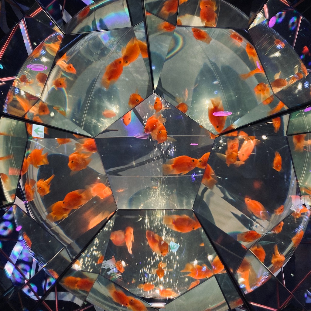 お台場のアクアリウム「UWS AQUARIUM GA☆KYO」に行ってみた 平日腰掛けOLのメモ帳