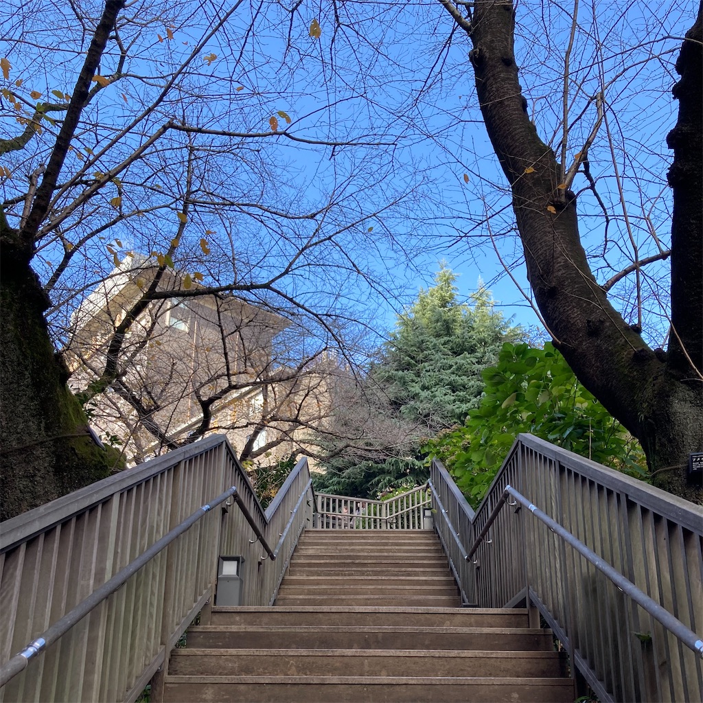 f:id:koshikakeol:20221204123004j:image f:id:koshikakeol:20221204123004j:image