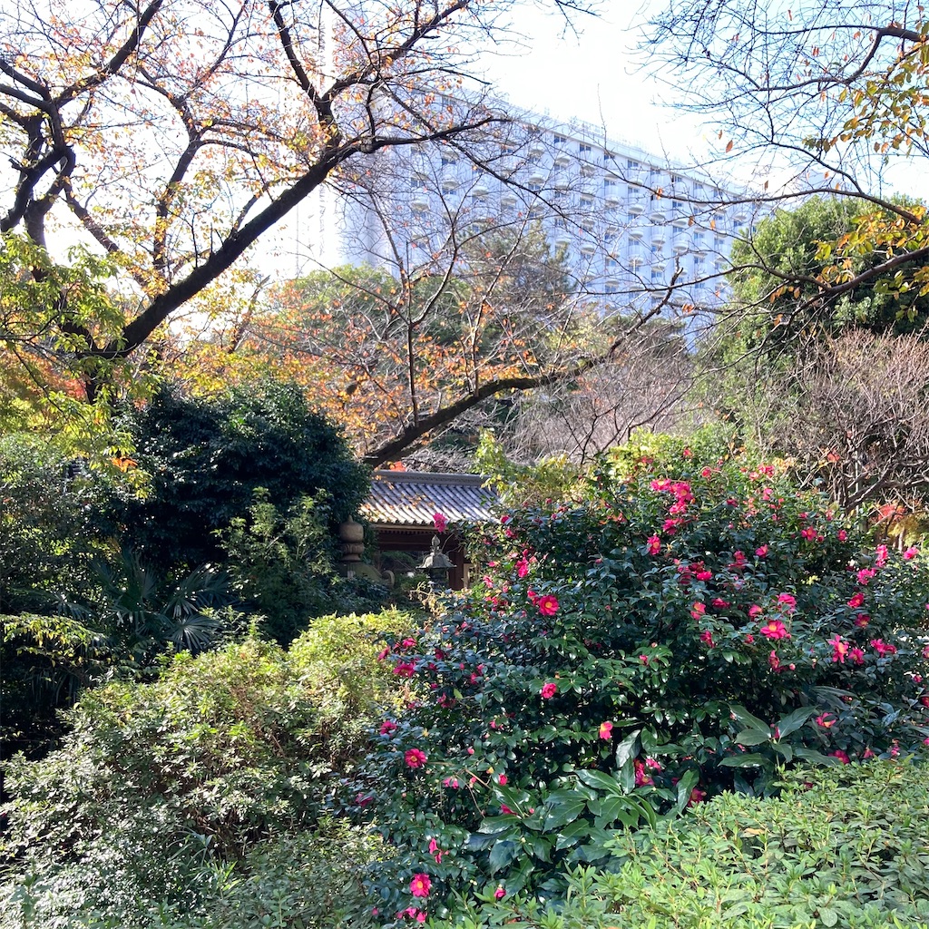 f:id:koshikakeol:20221204123011j:image f:id:koshikakeol:20221204123011j:image