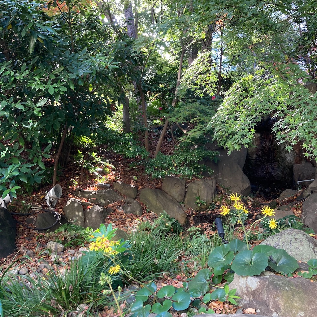 f:id:koshikakeol:20221204123024j:image f:id:koshikakeol:20221204123024j:image