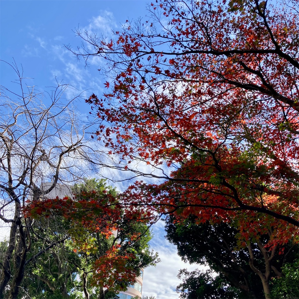 f:id:koshikakeol:20221204123027j:image f:id:koshikakeol:20221204123027j:image