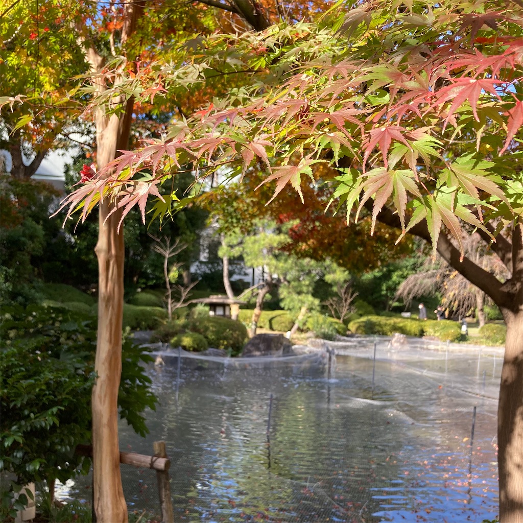 f:id:koshikakeol:20221204123031j:image f:id:koshikakeol:20221204123031j:image