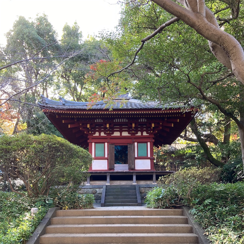 f:id:koshikakeol:20221204123034j:image f:id:koshikakeol:20221204123034j:image