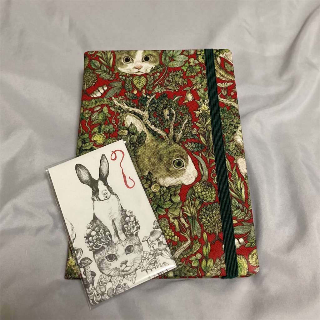 f:id:koshikakeol:20221208210955j:image