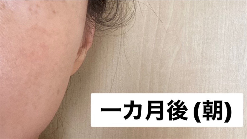 f:id:koshikakeol:20230211075354j:image