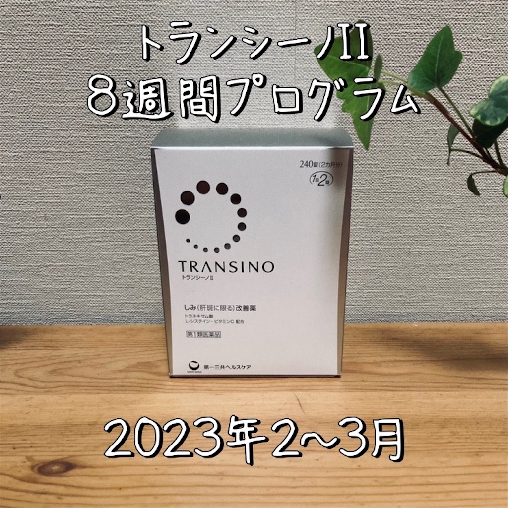 f:id:koshikakeol:20230303100545j:image