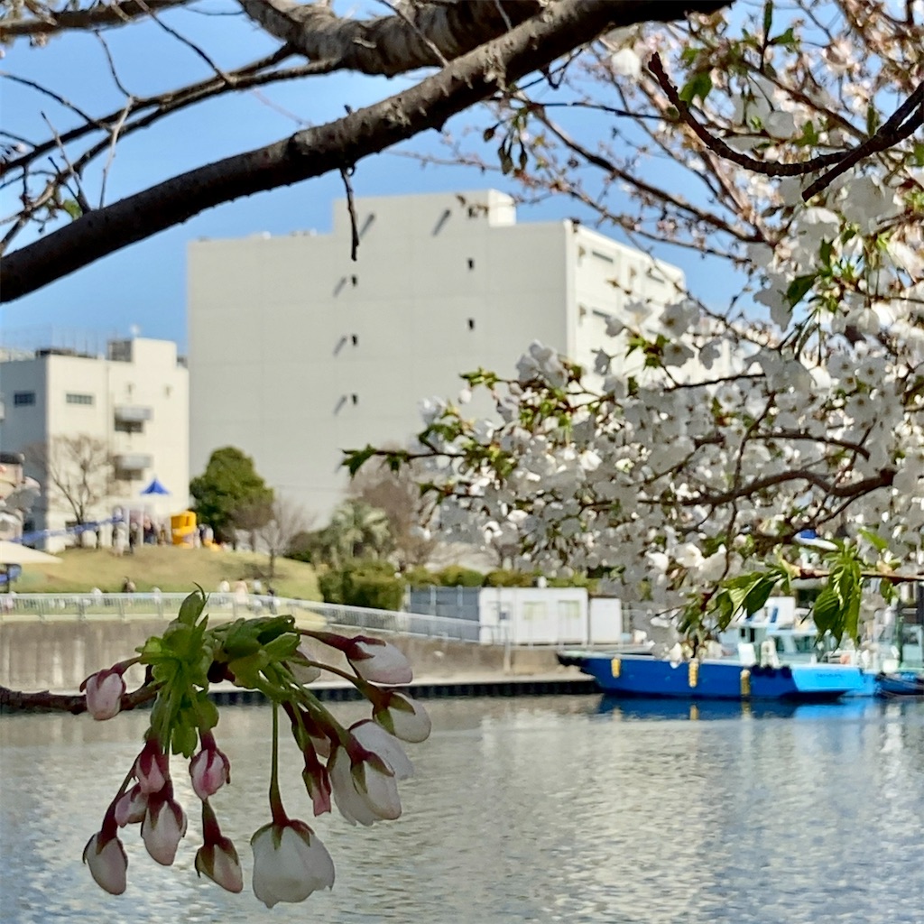 f:id:koshikakeol:20230319121218j:image f:id:koshikakeol:20230319121218j:image