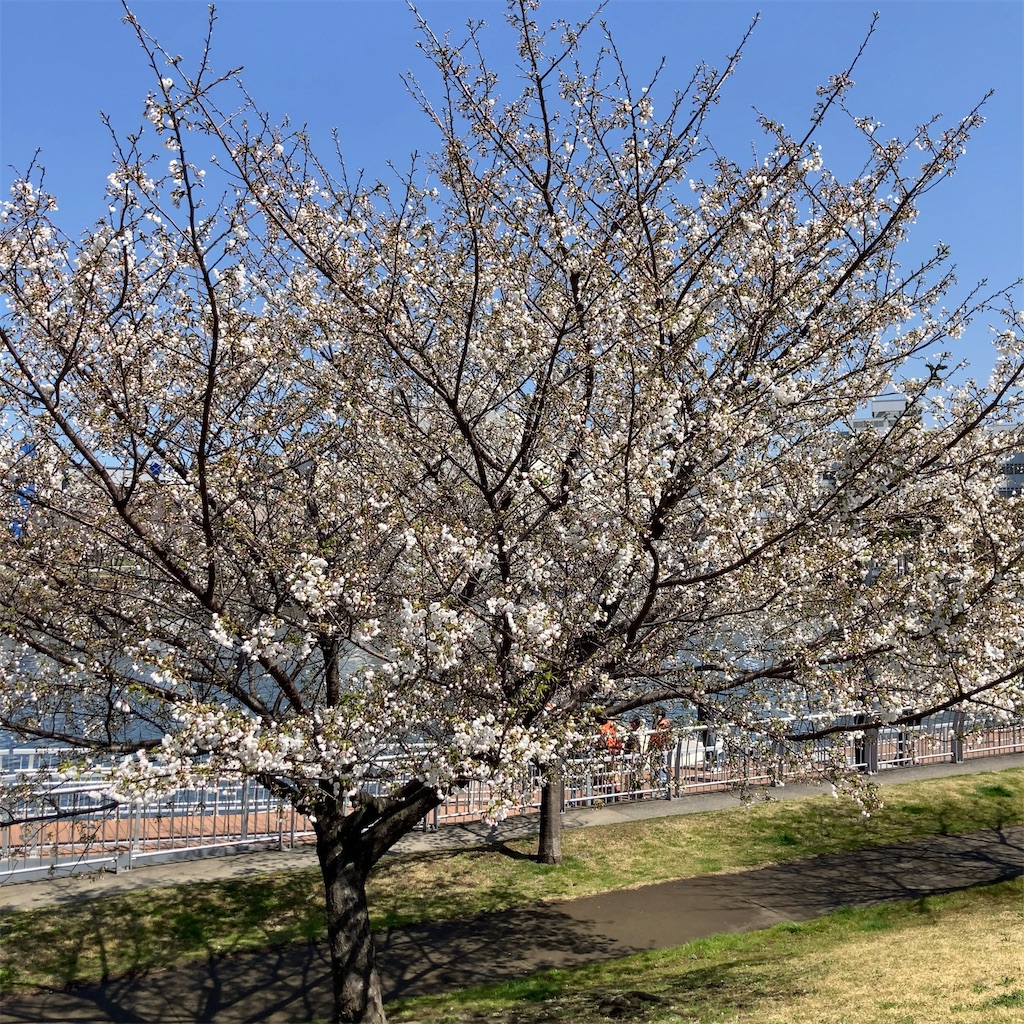 f:id:koshikakeol:20230319130658j:image