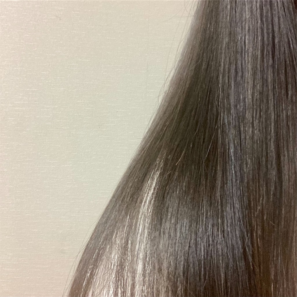 f:id:koshikakeol:20230320082938j:image f:id:koshikakeol:20230320082938j:image