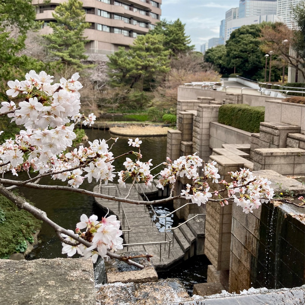 f:id:koshikakeol:20230321115941j:image f:id:koshikakeol:20230321115941j:image