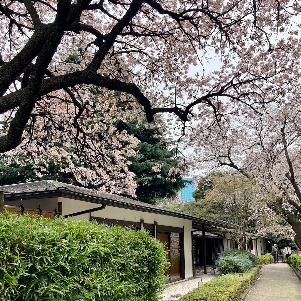 f:id:koshikakeol:20230327145622j:image f:id:koshikakeol:20230327145622j:image