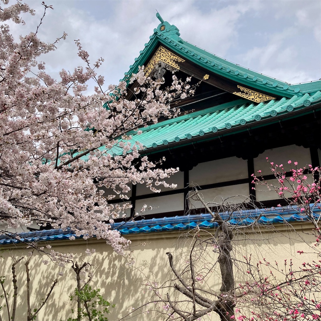 f:id:koshikakeol:20230327145629j:image f:id:koshikakeol:20230327145629j:image